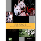 Perros
